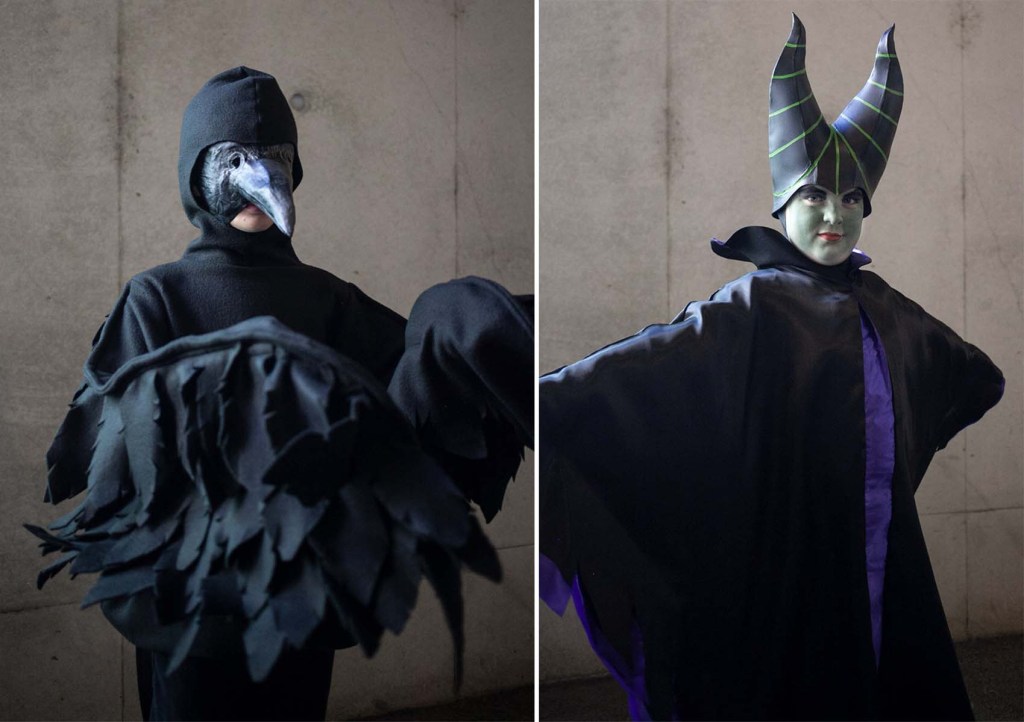 Sleeping Beauty Maleficent and raven halloween costumes